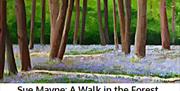 A Walk in the Forest, an exhibition of paintings by Sue Mayne.