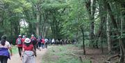 Epping Forest Heritage Trust Big Walk through Epping Forest