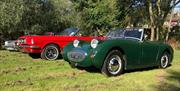 Classic cars on display at Epping Ongar Railway's North Weald Station.