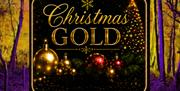 Epping Ongar Railway Lights Party Express Gold with Christmas carols and festive sing-a-long tunes everyone loves.