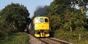 Appearing at EOR Autumn Diesel Gala: Class 33 locomotive, 33202, courtesy of Stewart Robinson