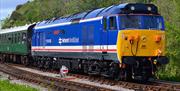 Appearing at EOR Autumn Diesel Gala: Class 50 locomotive, 50026 "Indomitable", courtesy of Paul Spracklen and PTG tours