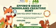 Epping's Great Woodland Creature Hunt by Rotary Club of Epping at the Epping Town Festival
