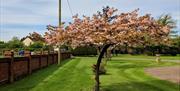 Elmcroft Guest House Epping grounds