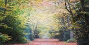 Autumn colour at Strawberry Pond, Loughton, Epping Forest