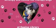 Therapy dogs will be at Epping Library from 12noon