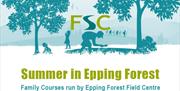 Epping Forest Field Centre summer family activities for children