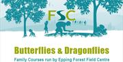 Discover all about butterflies and dragonflies at the Epping Forest Field Centre