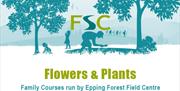 Children can discover all about flowers and plants at the Epping Forest Field Centre