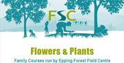 Children can discover all about flowers and plants at the Epping Forest Field Centre