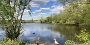 Roding Valley Meadows stretches from Chigwell to Debden