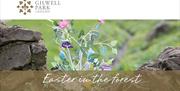 Easter in the Forest at Gilwell Park