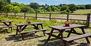 Surrounded by beautiful views at High Beech Riding School, Epping Forest.