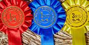 High Beech Riding School rosettes.