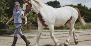 Betty at High Beech Riding School, Epping Forest.