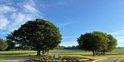 Hainault Golf Club tee box and trees