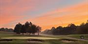 Hainault Golf Club green and bunkers