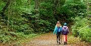Guided nature walk
