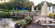 Fish pond at the John Barleycorn pub, Threshers Bush, Epping.