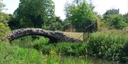 King Harold's Bridge, Waltham Abbey.