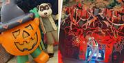 Halloween Festival at Lee Valley Park Farms Animal Adventure Park. Activities and photo opportunities may vary to actual event