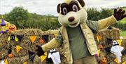 Halloween Festival at Lee Valley Park Farms Animal Adventure Park. Activities and photo opportunities may vary to actual event