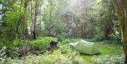 Almost Wild Campsite, Nazeing