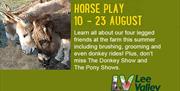Donkey and Pony shows at Lee Valley Park Farms 10 - 23 August.