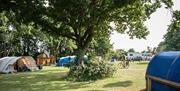 Lee Valley Campsite, Sewardstone