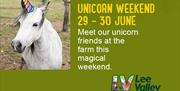 Unicorn Weekend at Lee Valley Park Farms.