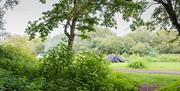 Almost Wild Campsite, Nazeing