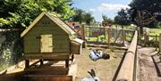 Rabbit enclosure at Lee Valley Park Farms, Waltham Abbey.