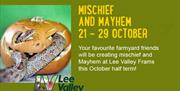Mischief and Mayhem at Lee Valley Parks, Waltham Abbey.