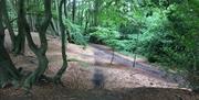 Loughton Camp, an Iron Age hill fort in Epping Forest