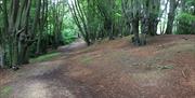 Loughton Camp Iron Age fort showing the sloping site along the edge of a ridge of land rising up from the River Lee Valley.