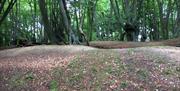 The remains of the ramparts at Loughton Camp Iron Age fort.