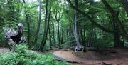 One of the claimed sites for Turpin's 'cave' within the site of Loughton Camp Iron Age fort.