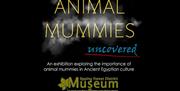 Animal Mummies Uncovered exhibition at the Epping Forest District Museum