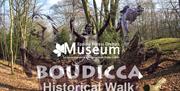 A historical walk in Epping Forest exploring sites linked to Queen Boudicca