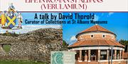 Epping Forest District Museum talk on life in Roman St Albans by David Thorold.