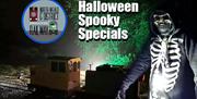 Halloween Spooky Specials, train rides at the North Weald & District Miniature Railway.