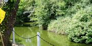 The moat and mound from the remaining bailey, now the grounds to a family house.