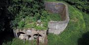 Victorian industrial buildings being claimed back by nature at the Royal Gunpowder Mills