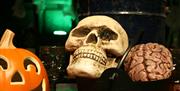 Spooky skull at The Royal Gunpowder Mills, Waltham Abbey.