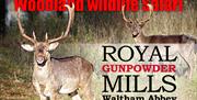 Woodland Wildlife Safari at the Royal Gunpowder Mills, Waltham Abbey.