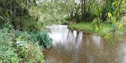 The River Roding, the heart of the Roding Valley Nature Reserve