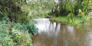 The River Roding, the heart of the Roding Valley Nature Reserve