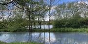 River Roding flowing past a lake in Roding Valley Meadows