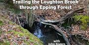 Trailing the Loughton Brook through Epping Forest.