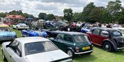 Classic cars on display at the Rotary Epping Classic Car show at Stonards Hill